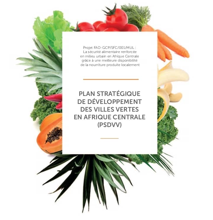 Suivi de la mise en oeuvre du Plan Stratégique de Developpement des Viulles Vertes  en Afrique Centrale (PSDVV)