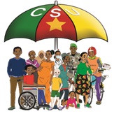 **Cadre de pilotage de la Performance des Acteurs de Mise en Oeuvre de la CSU**