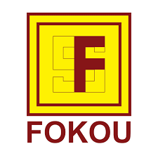 Groupe FOKOU : Suivi du Chiffre d'Affaire(CA) et des Primes d'Assurance (PA) :  Exercice 2024